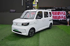 五菱之光EV 305km进取型上市，续航升级，宜商宜家更适合了