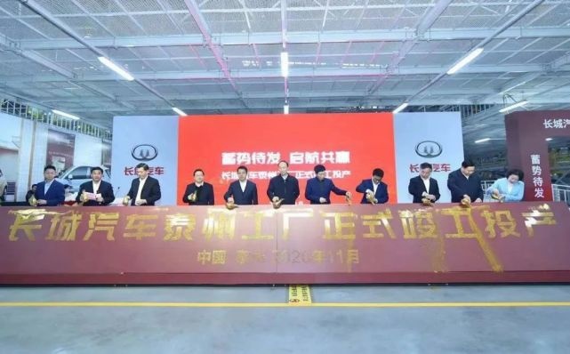 欧拉好猫是一只复古的“潮猫”