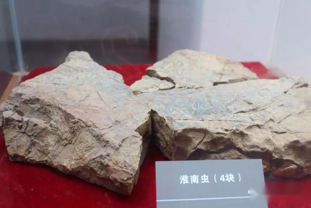 淝水之滨，这座不起眼的小山，因何谱写一段传奇故事？