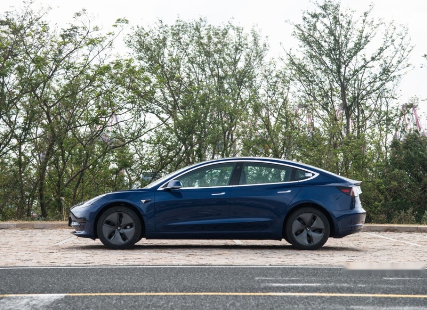国产版特斯拉Model 3喜提2月新能源销冠，不过有喜也有忧