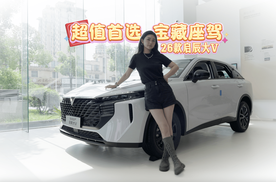 6万起闭眼选！超值宝藏座驾26款启辰大V