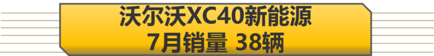 【帮你选车】月销不超50辆，这几款新能源SUV，你在路上见过吗？