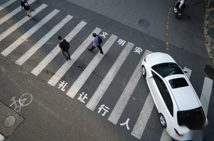 冲上热搜！“礼让行人”的规则，该不该取消？