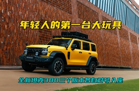 全新坦克300三款配置推荐，城市通勤选Hi4-Z，极限越野上Hi4-T