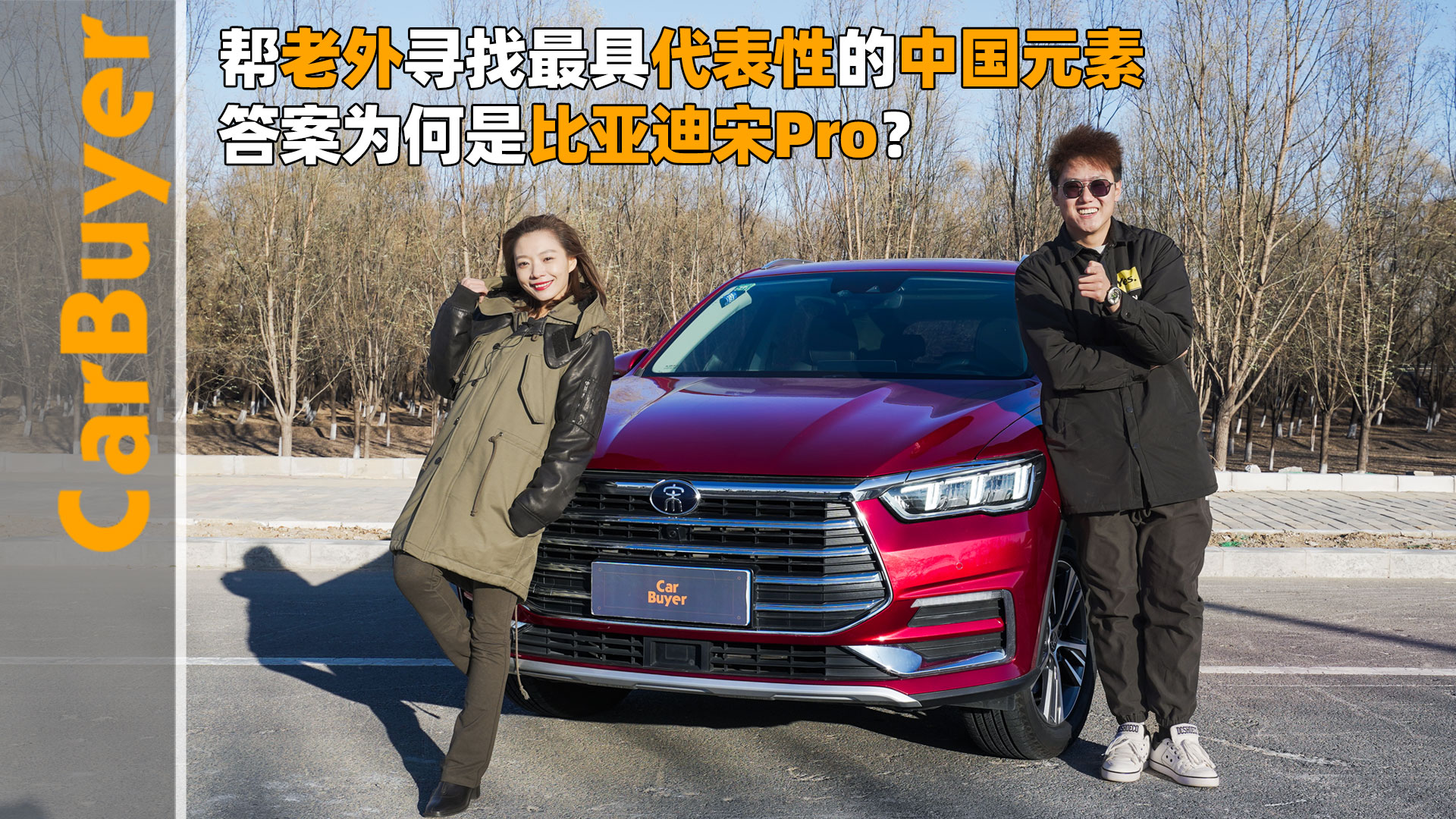 ⌤ߴԵЇԪأ𰸞ǱȁPro