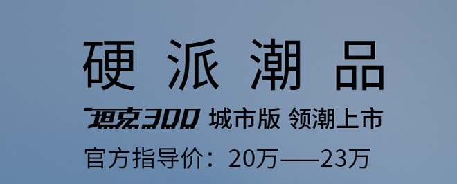 赛博坦克300价格曝光：30.8万元，你觉得贵，但有人已经开抢了