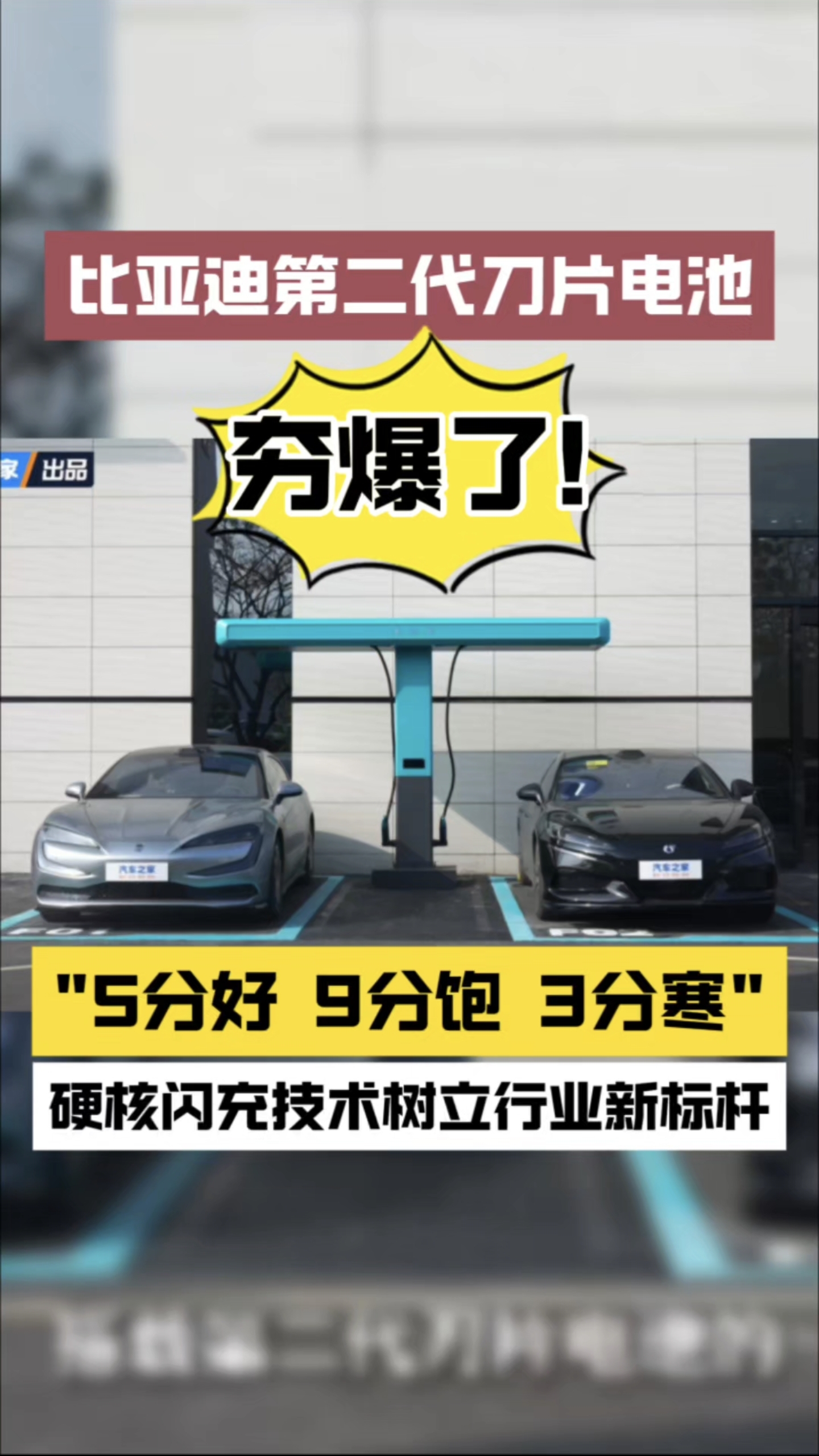 ���ǵ϶�����Ƭ��غ�����!Ӳ�����似��������ҵ�±��