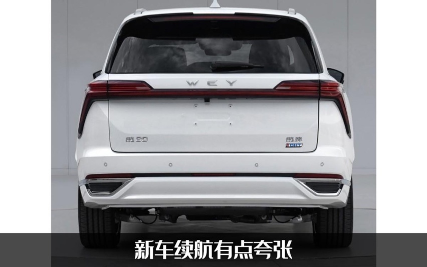 扛起新旗舰大旗？魏80定位中大型SUV，将于广州车展首发亮相