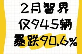 2月智界销量暴跌90.6%，成鸿蒙智行与奇瑞双体系 “拖油瓶”