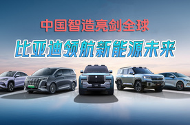 中国智造亮剑全球，比亚迪领航新能源未来！