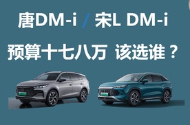 预算十七八万，唐DM-i和宋L DM-i，买谁更合适