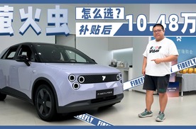 两款车型价差6k，配置却多10项！蔚来萤火虫购车攻略看这里！