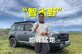 穿越小天山，深度体验哈弗猛龙的“智省野”