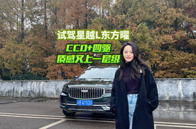 星越L的热销密码：手握高价值