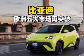 销量持续超越特斯拉！比亚迪欧洲五大市场再突破