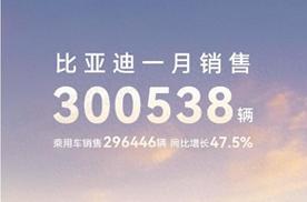 中国销冠 比亚迪25年1 月销售30 万台