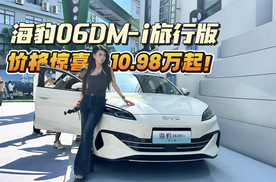 全球首款超混旅行车！海豹06DM-i旅行版10.98万起，价格惊喜