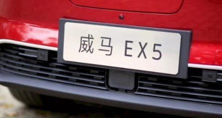 目前市场上具有L2自动驾驶的纯电动车有哪些？
