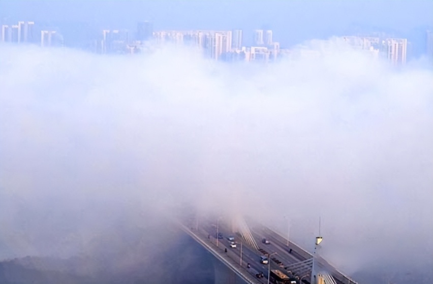 秋季行车突然遇团雾怎么办？这样处理最安全，关键时候能保命！