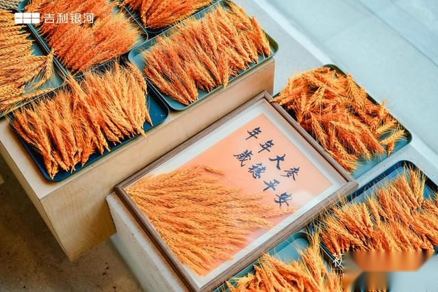 「初冬漫游记」吉利银河双十一超级体验季圆满落幕