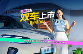 又帅又顶，海狮06全能神车上市！
