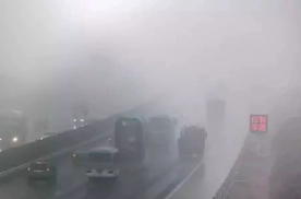 雾天开车，“雾”必注意！