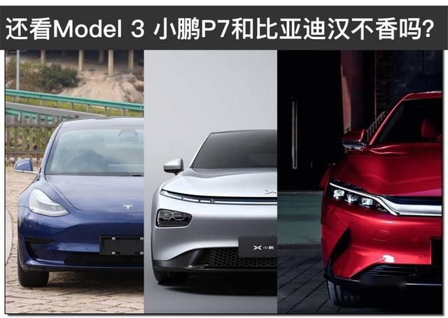纯电动热门车型大对比 特斯拉Model 3 VS 小鹏P7