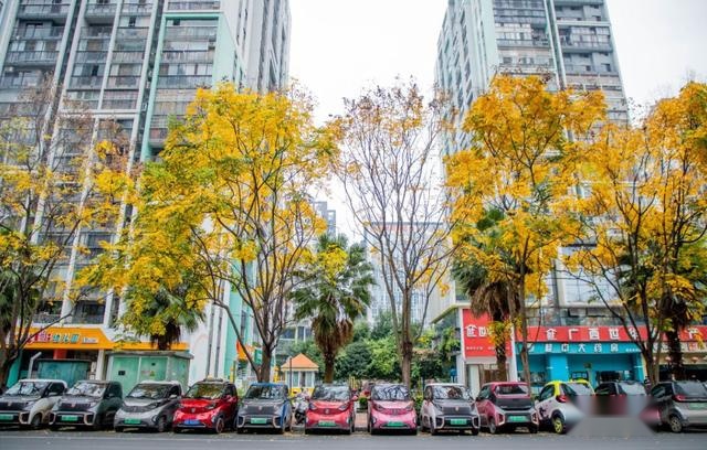 国补又少了，这款新能源汽车用户有10万，落地4万并且不涨价