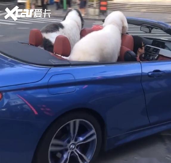 63岁张丰毅开跑车和短发美女兜风