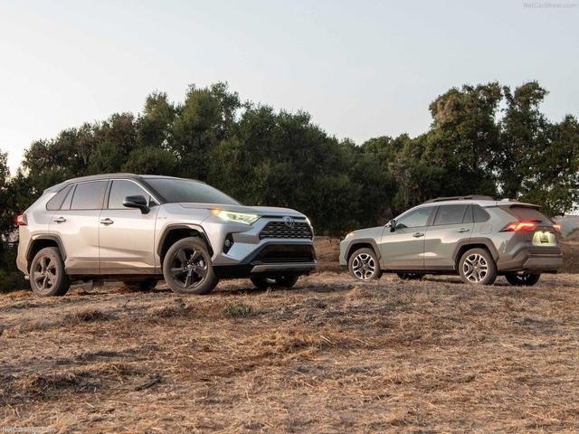 四驱版的全新一代RAV4荣放能去郊外越野吗？