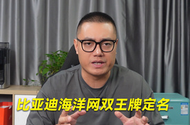 比亚迪海洋网双王牌定名！海洋8系明年一季度亮相