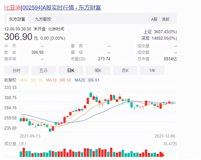 对于比亚迪，巴菲特看得比我准多了