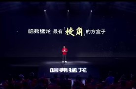 哈弗猛龙车主：拒绝平庸，活出棱角