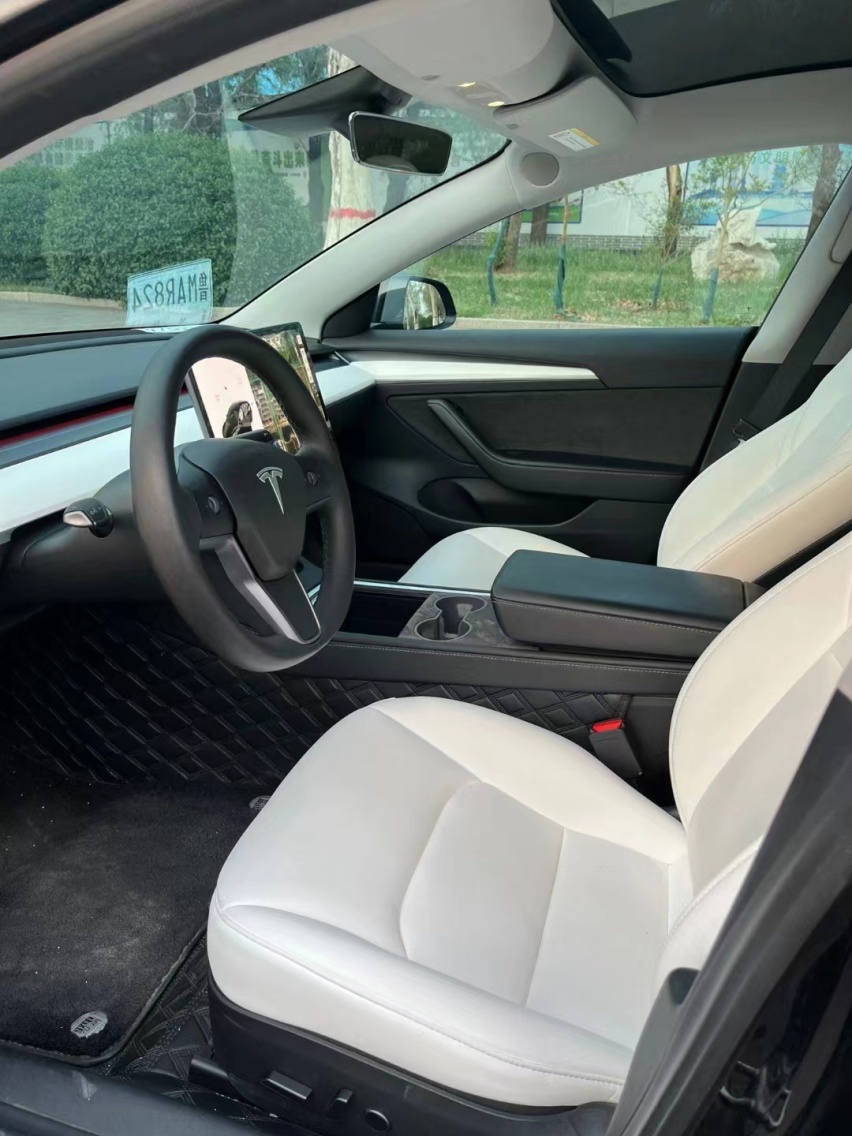 特斯拉Model 3：电动时代的先锋与革命者