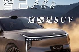 智己LS8这哪是SUV啊，简直是长了脑子的“大玩具”