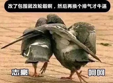 十五万元级家用首选，本田思域的吸引力在哪？还带原厂改装！