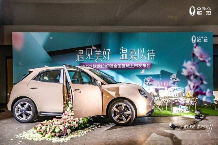 9项核心配置进阶,四重宠爱好礼拿不停,2023款欧拉好猫魔都上市