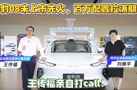 王传福亲自打Call！海豹08未上市先火，百万配置拉满期待