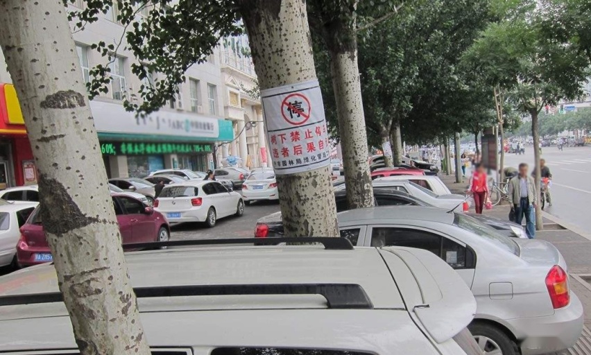 大风刮倒了树，树砸了车，该找谁赔？