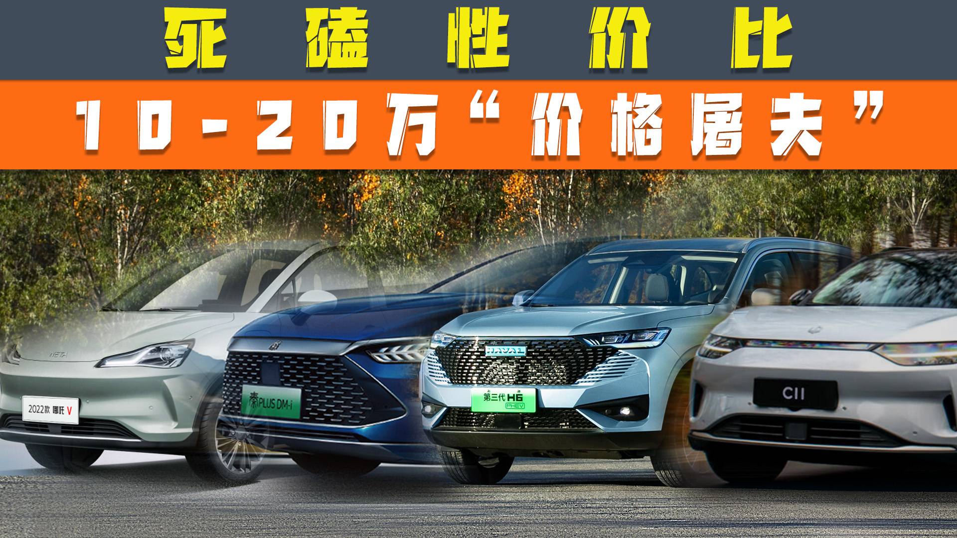 �����ԃr����10-20�f���r������