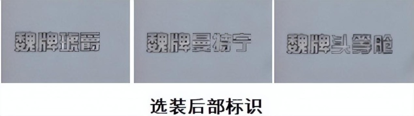 轴距超3米或售30万,魏牌首款MPV曝光,能否抢了腾势的风头?