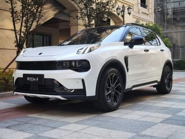 高压灼心！中国汽车市场的分化观察