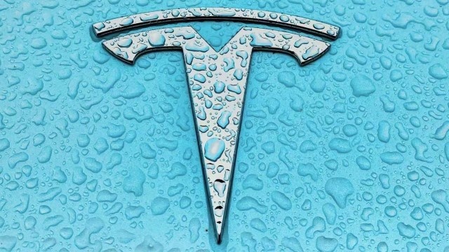 雷达全砍掉，中国的特斯拉将成特供车，幽灵刹车仍难避免？