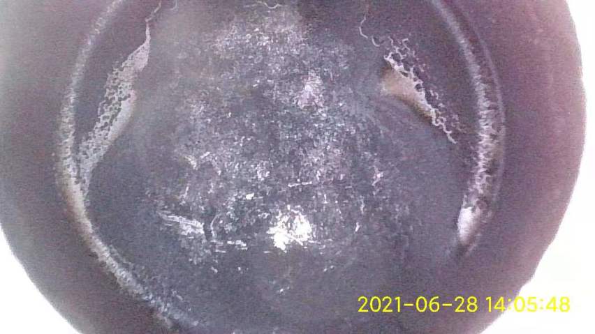 最近怠速抖动加速无力，检查是积碳超标，自己清洁积碳作业