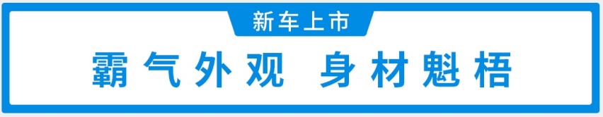 终身免费基础保养！4米8国产SUV上市，14.99万起