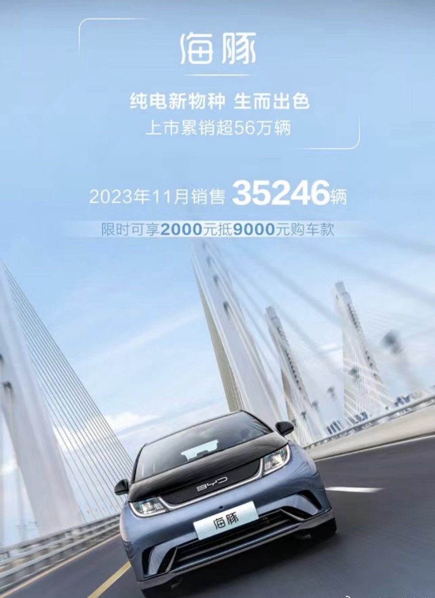 比亚迪海洋网11月销量亮眼！