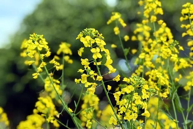 试驾启辰大V：补齐动力短板，是年轻人想要的高性价比SUV吗？