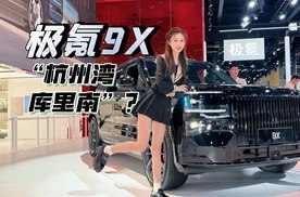 成都车展体验极氪9X，预算50万，能买到啥样的豪华尊享体验？