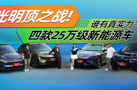光明顶之战！ 四款25万级新能源车谁有真实力？