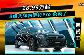 18.99万起，B级头牌帕萨特Pro 杀疯了